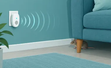 Illustration: plug-in ultrasonic pest repeller in a wall outlet emitting stylized sound-wave arcs that fade out against a couch, while a mouse sits behind the couch leg unbothered.