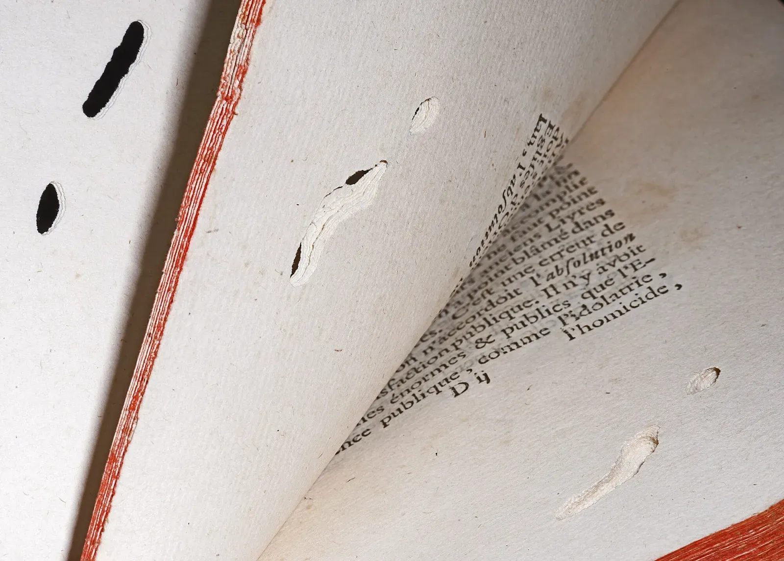 Pages of an old book with small round holes and tunnels chewed through the paper