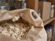 Pantry moths