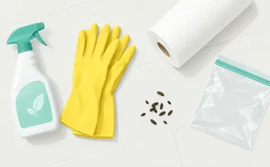 Illustration: top-down flat lay on a pale floor: a spray bottle of disinfectant, a pair of yellow rubber gloves, a roll of paper towels and a sealable plastic bag beside a small scatter of mouse droppings.