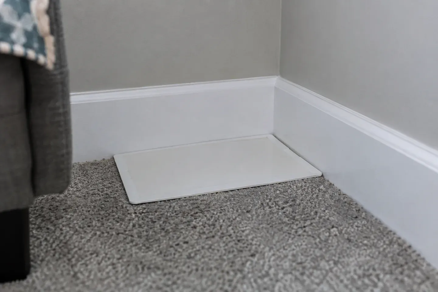 A flat sticky trap placed flush against a baseboard in the corner of a basement room