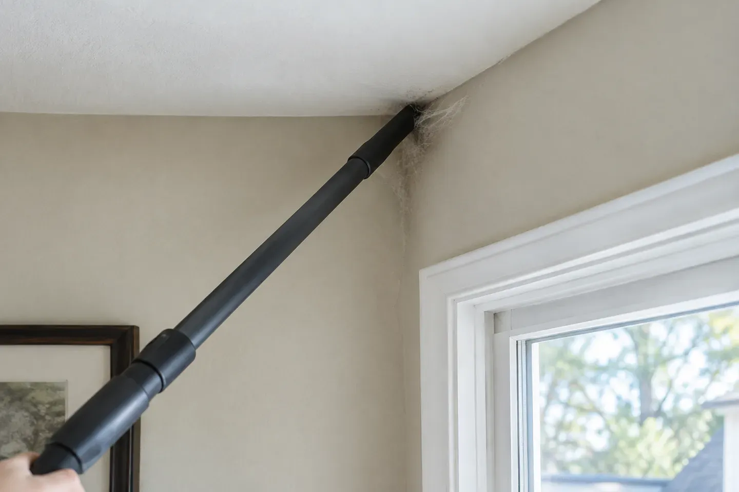 A vacuum crevice tool pulling a cobweb out of a ceiling corner above a window