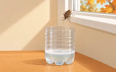 Illustration: cut-off clear plastic bottle holding an inch of soapy water, one brown marmorated stink bug about to drop in from a white window sill above it, autumn leaves visible through the glass.