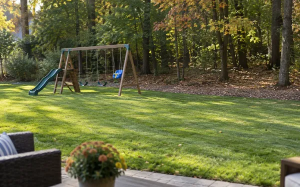 A backyard with a freshly mowed lawn, a strip of wood chips along the edge of the trees, and a swing set in the sunny middle of the lawn away from the woods.