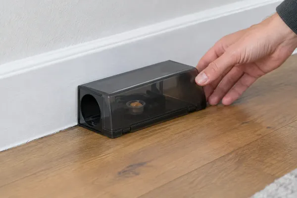 An enclosed mouse trap placed along a baseboard with its entry hole facing along the wall