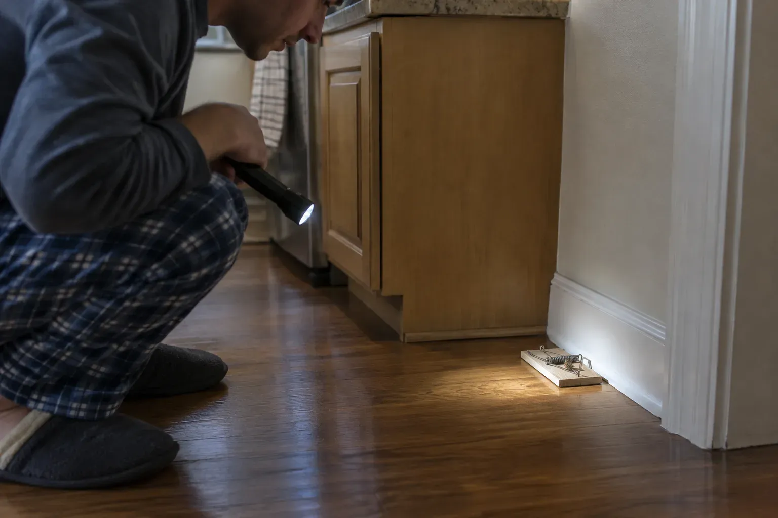 In the early morning, a person crouches with a flashlight to check a set, empty snap trap against the baseboard beside a kitchen cabinet